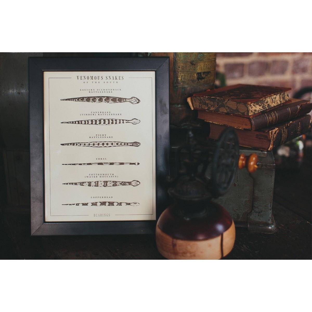 Bearings Venomous Snakes of the South Letterpress Art Print White Decor Poster