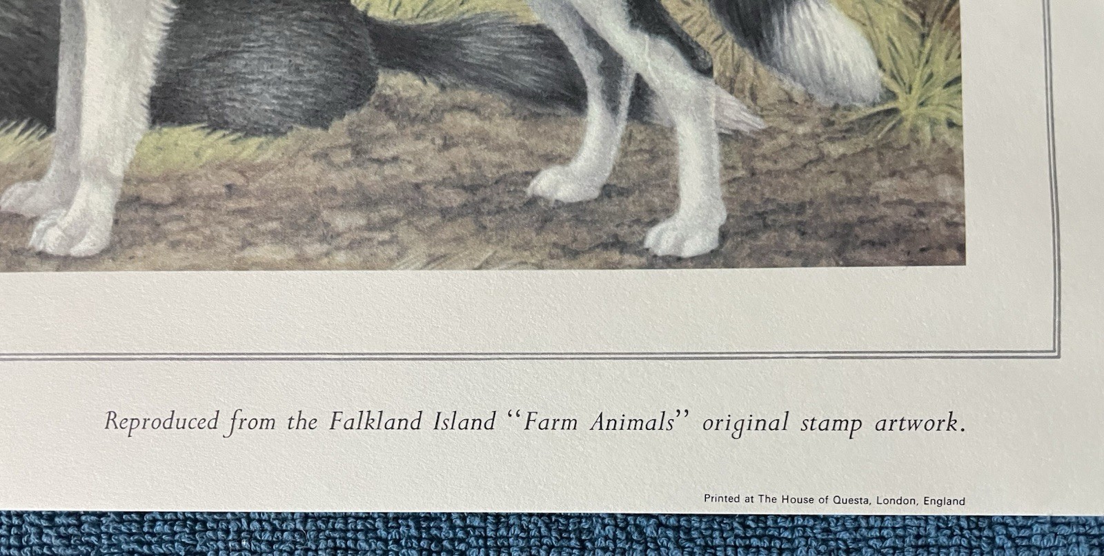 Limited Edition “Farm Animals” Print. Based on Falkland Islands stamp art