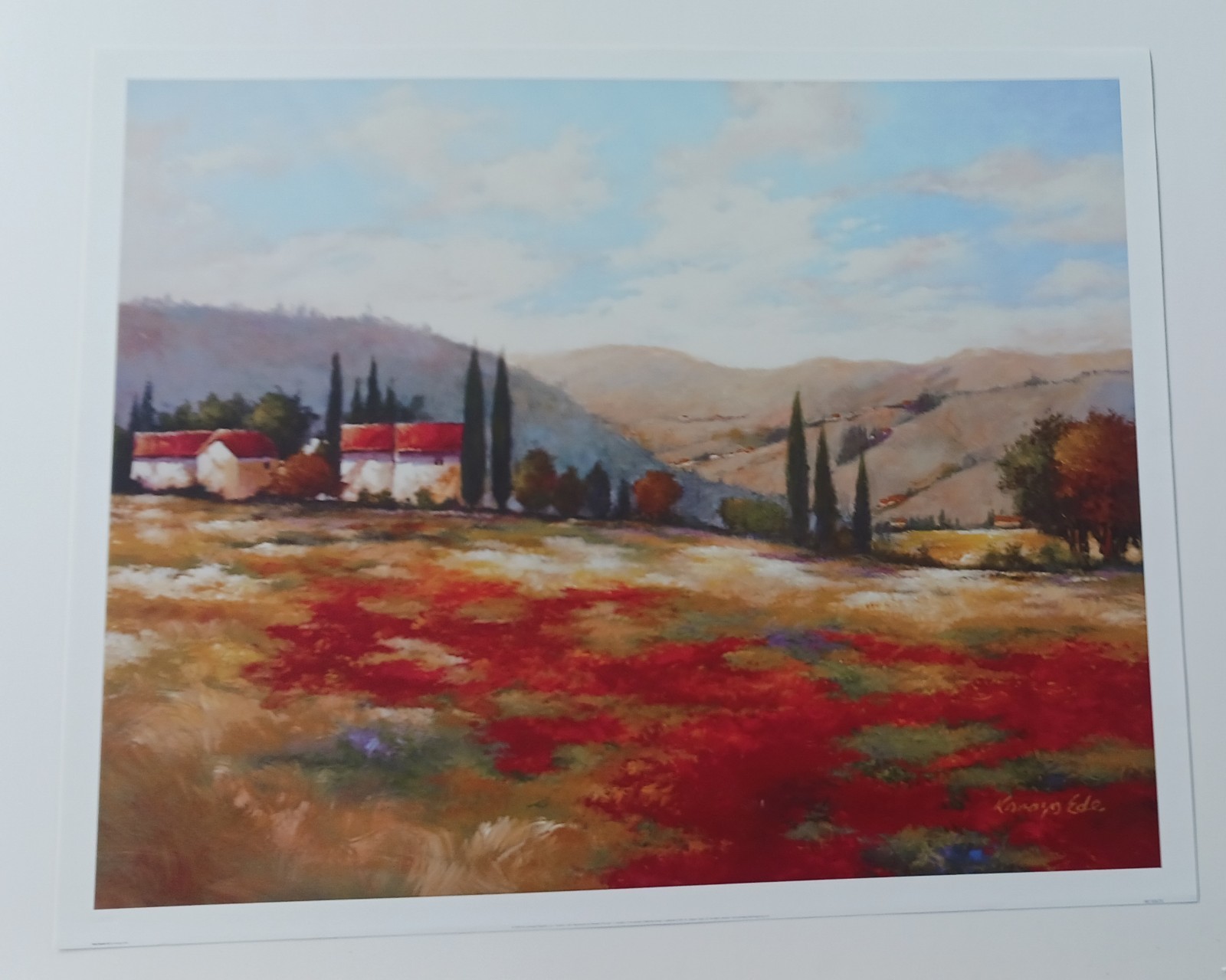 Vintage 2003 Red Roofs III Print By Kanayo Ede. 32″ X 26″