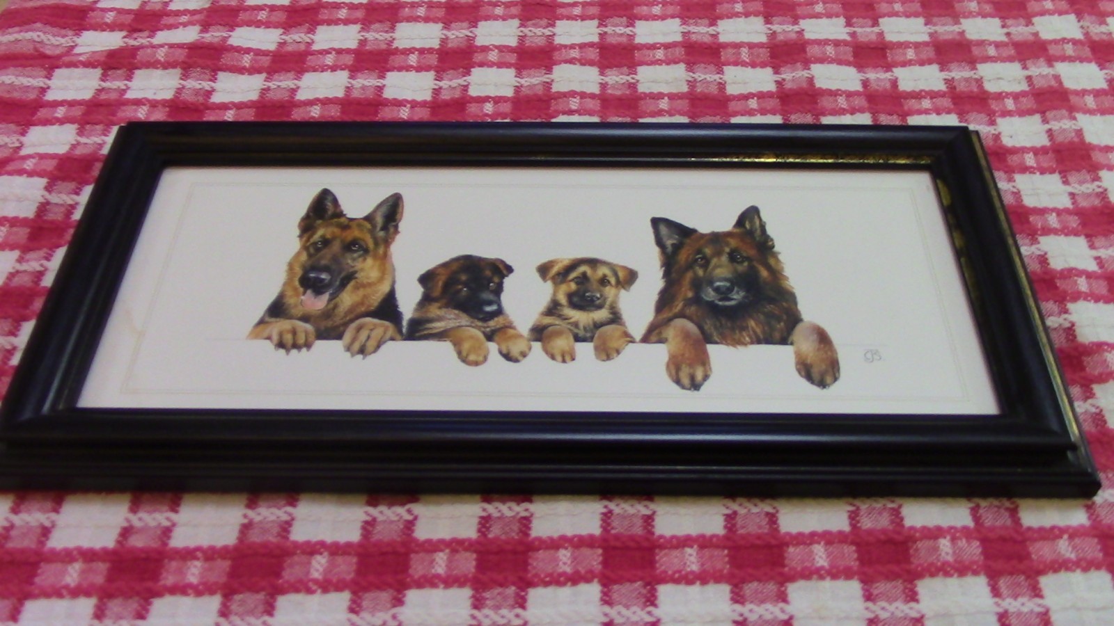 Framed Print German Shepherds With Puppies by CJS 39cm by 19cm