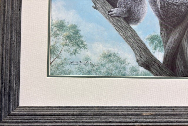 Charles Frace’ ” Ambassadors” Hand Signed & # Koala Wildlife Art Australia NEW!