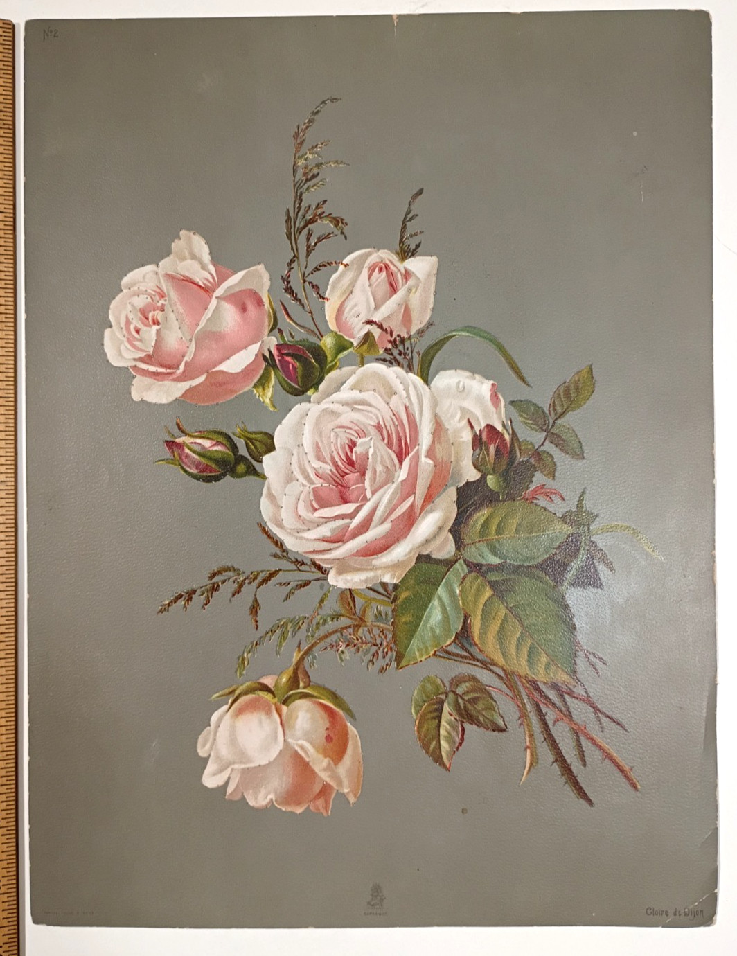 C. 1900s Raphael Tuck & Sons Gloire De Dijon Floral Art Print 10″ x 13.5″