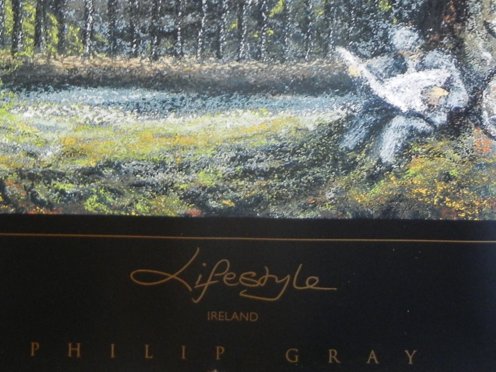 PHILIP GRAY ART PRINT ‘LIFESTYLE’ DUBLIN IRELAND MATTE FINISH 14″ X 18″