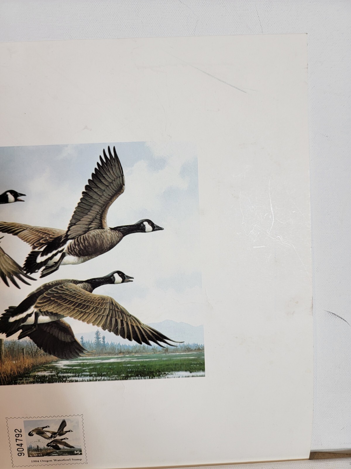 1984 OREGON State Waterfowl Stamp Print MICHAEL SIEVE Fish Wildlife Press Proof