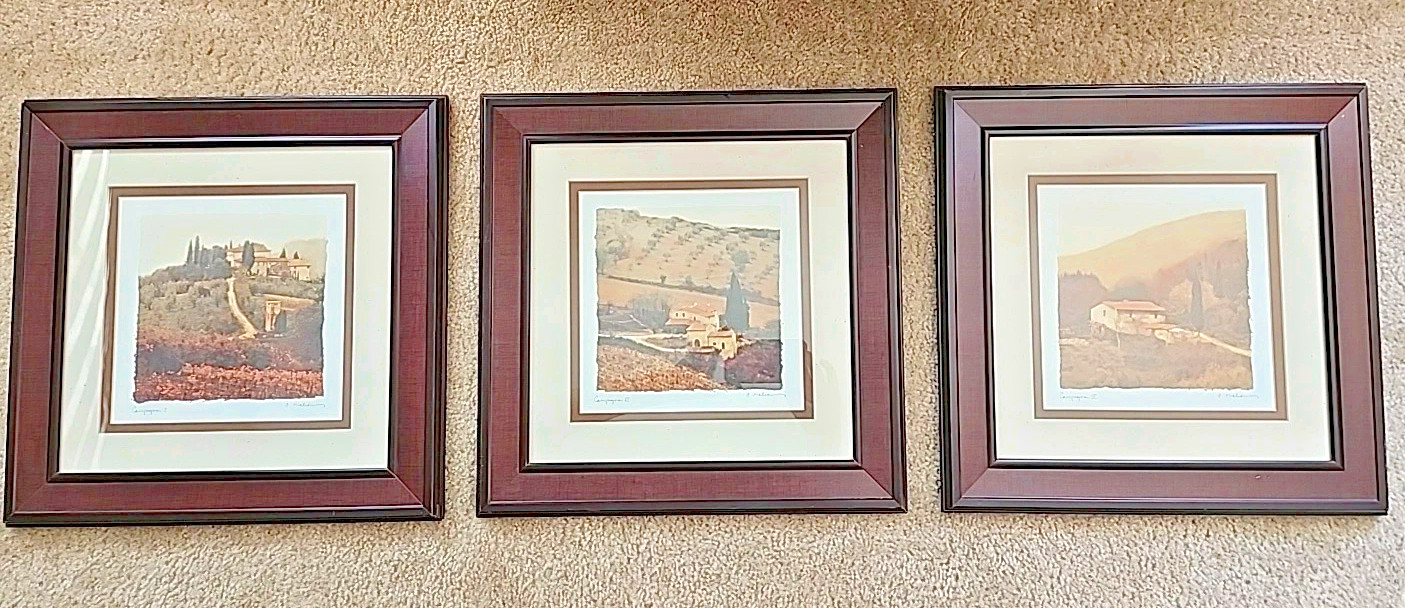 Set Of 3 Campagna Italy Landscape Matted, Signed ART PRINTS I, III, IV Framed