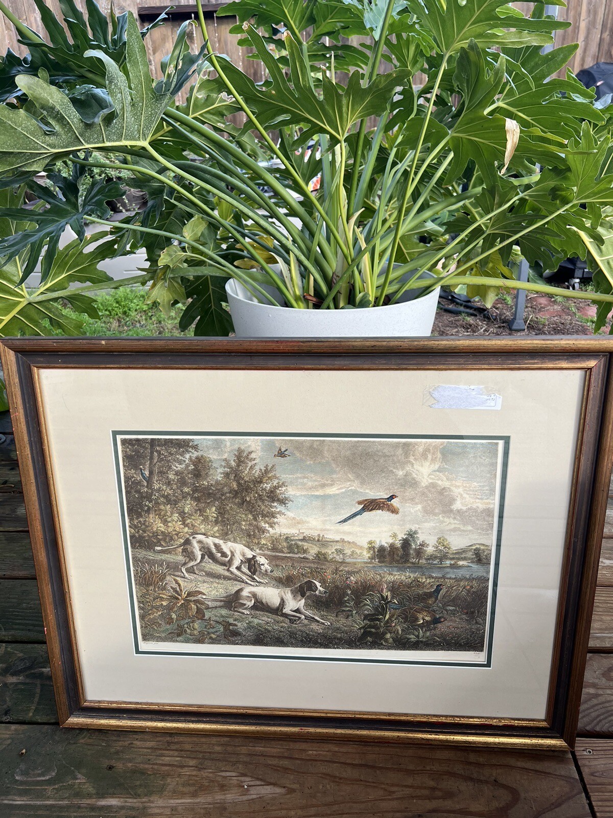 Francois Desportes 1661-1743 Diane and Blonde, dogs Louis XIV.Etching Handcolor