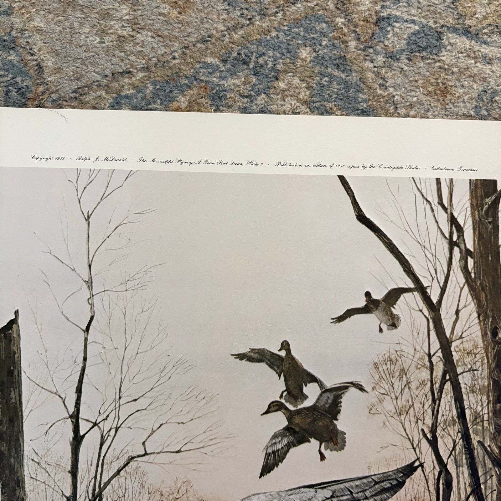 Ralph McDonald Green Timber Greenheads Signed Print Limited 1250 Countryside COA