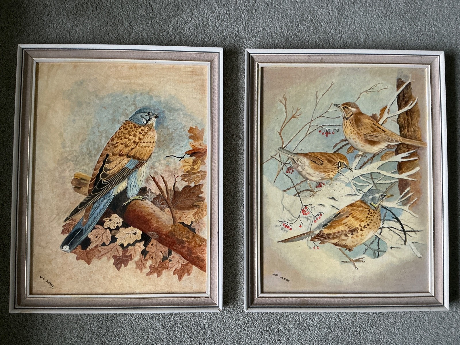 VINTAGE BIRDS ORNITHOLOGY THRUSH ART LITHO PICTURE X 2 ARTIST JUDGE 1960/70s