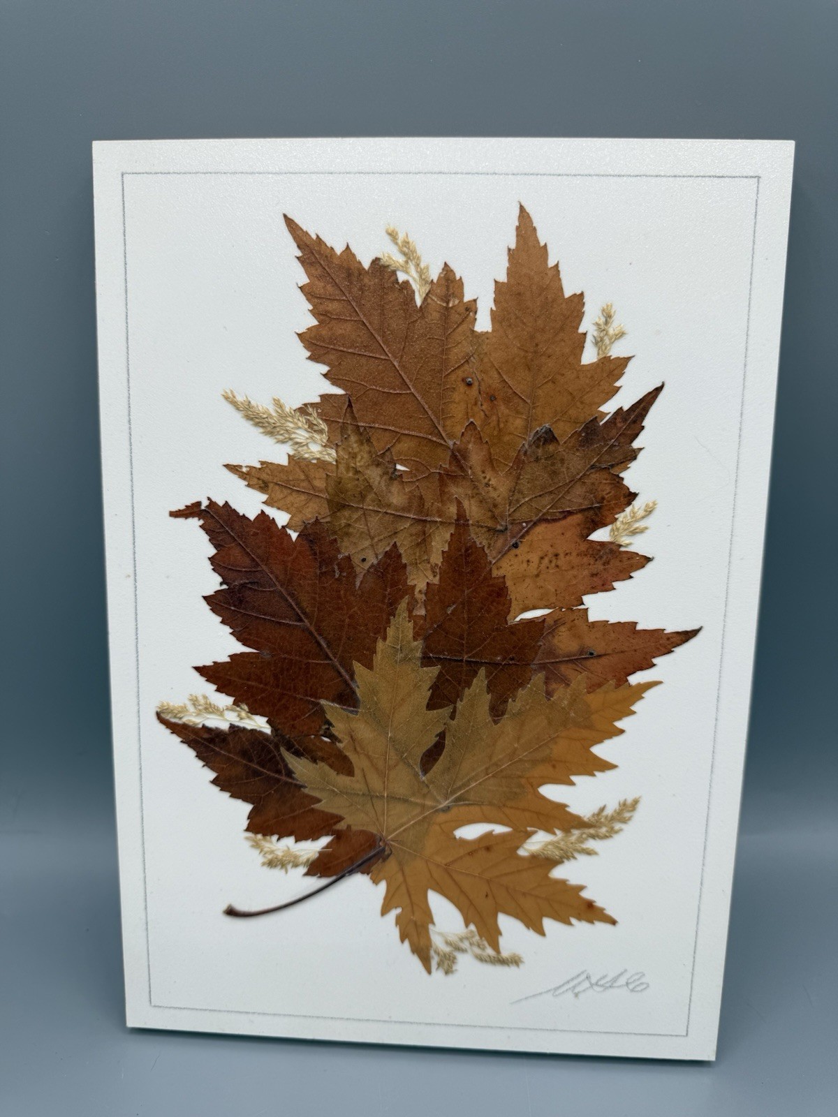 Pressed Leaf Art Handmade Canada Botanical Wall Decor Signed Country Girl