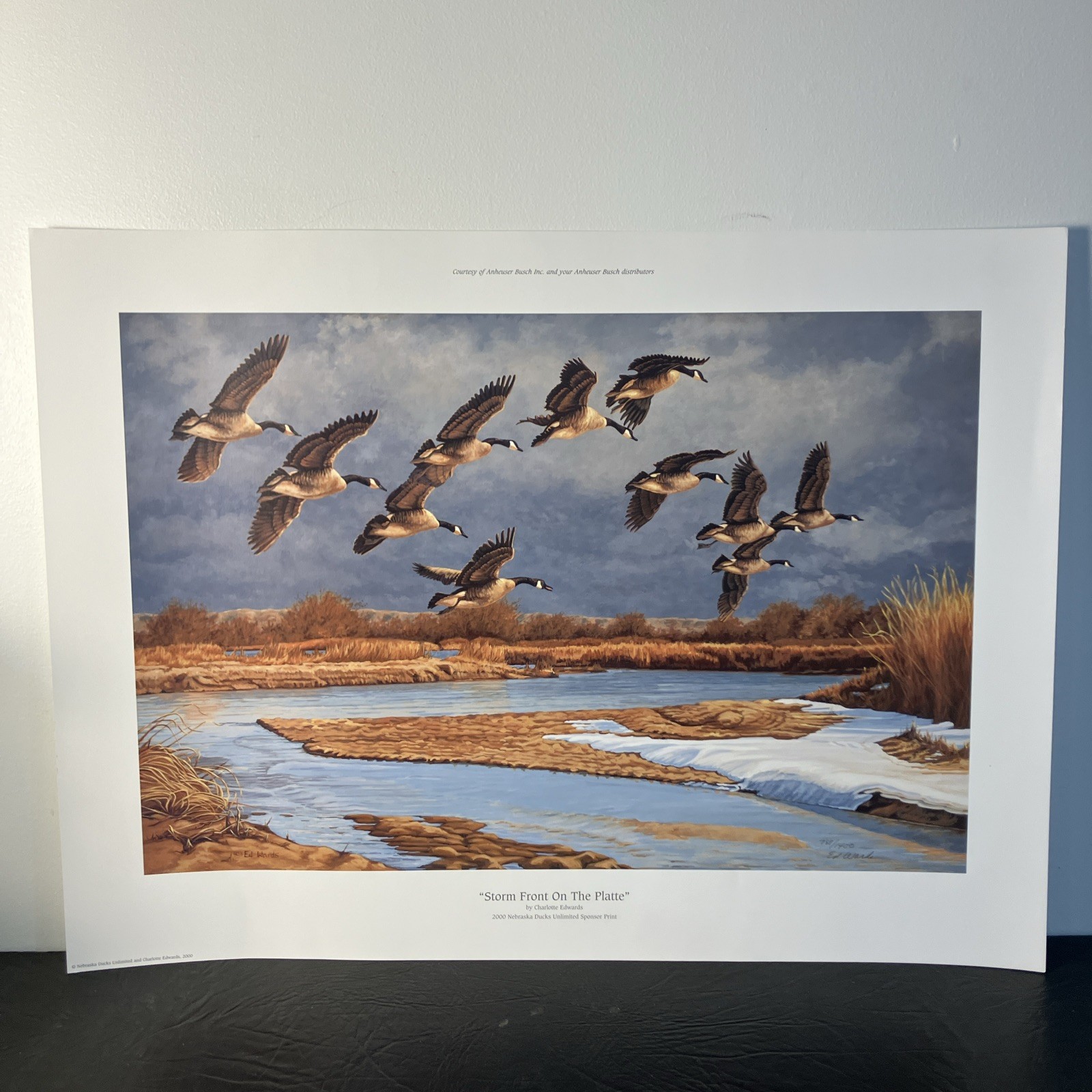 Charlotte Edwards “Storm Front On The Platte” 2000 Nebraska Ducks Unlimited Sign