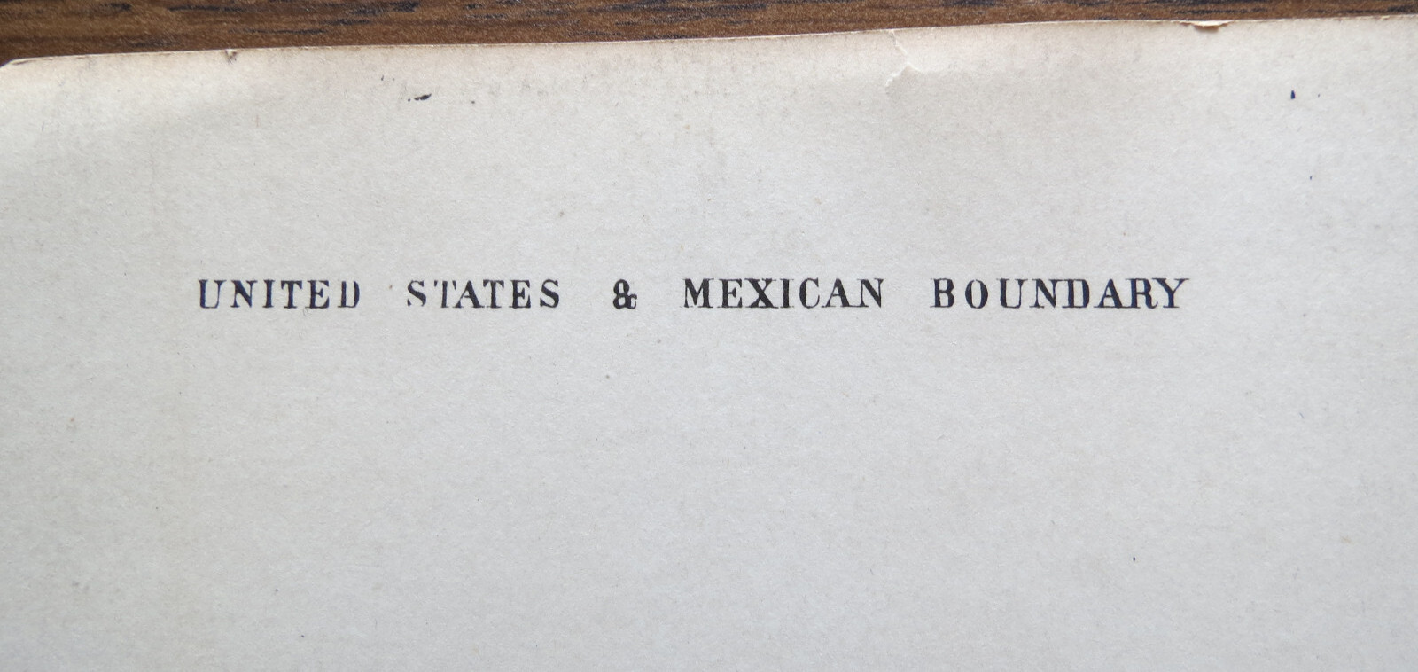 BLACK BELLIED DUCK 1859 US MEXICO BOUNDRY SURVEY PRINT Spence Fullerton Baird