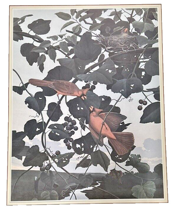 Stuart Gentling (1942-2006) “Cardinal” Lithograph Framed Print Fort Worth Artist
