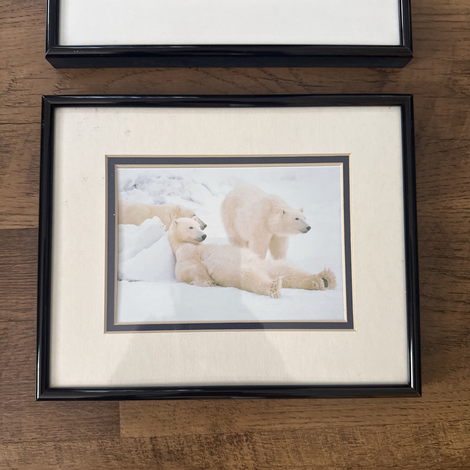 Set 3 Wildlife 8.5” X 10.5” Matted & Framed Artist Thomas Mangelsen