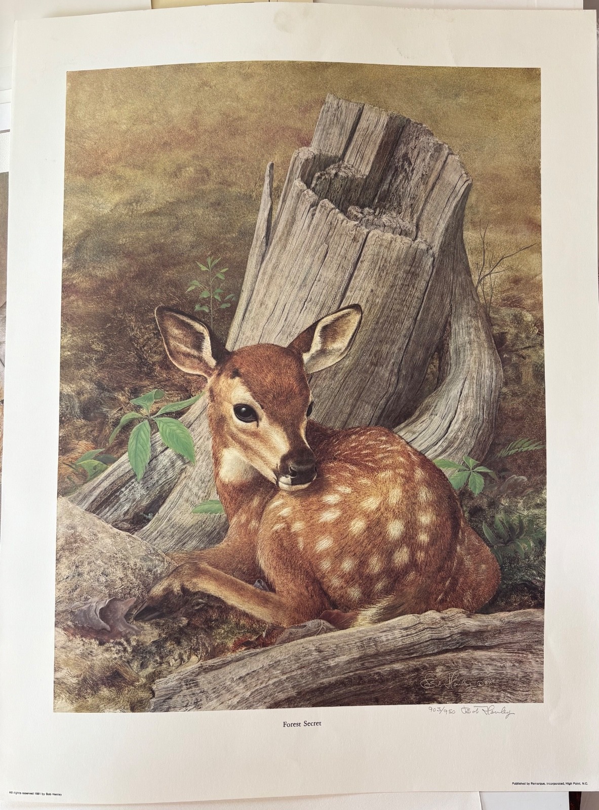 Forest Secret by Bob Henley – Fawn Baby Deer L/N Signed