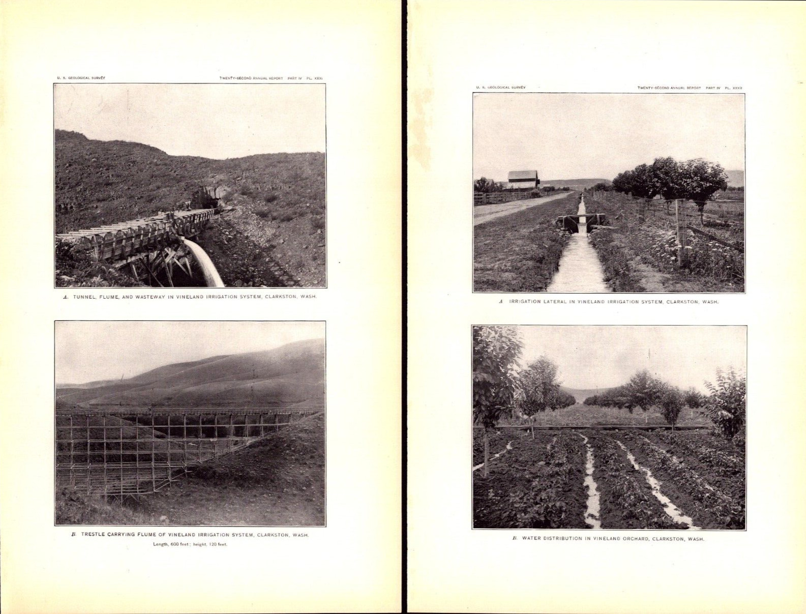 2 items CLARKSTON, WASHINGTON, VINELAND IRRIGATION Antique prints 1902