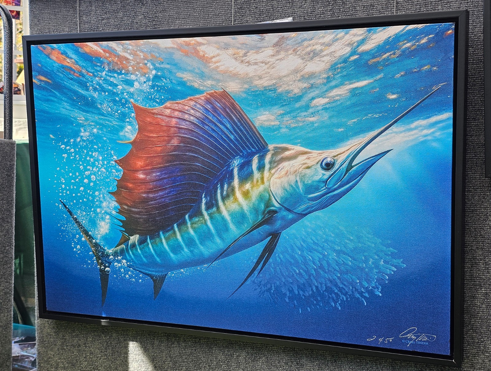 Sailfish Bait Pursuit – Side View/Profile Framed Canvas – by Artist Craig Tinder