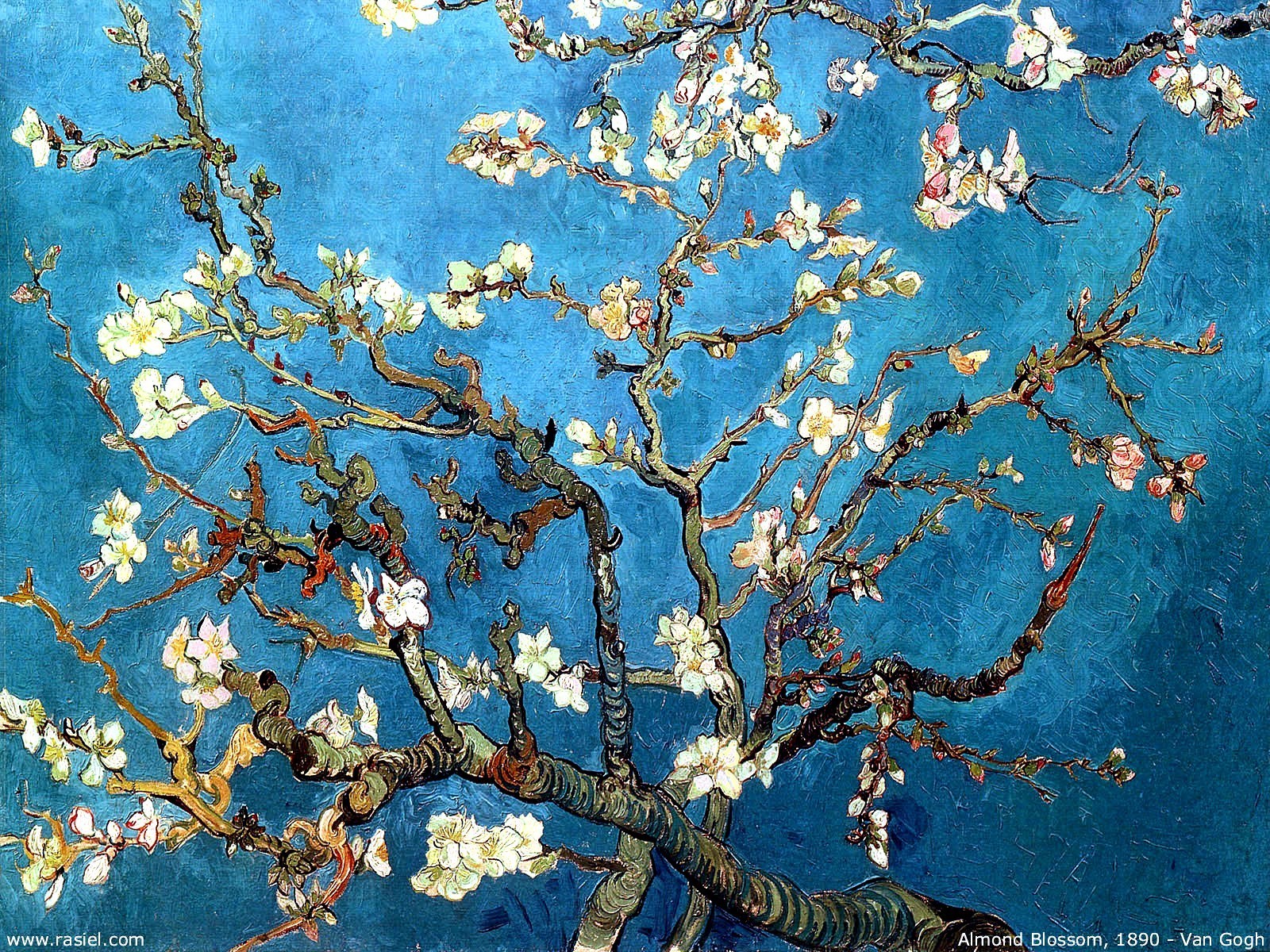 Vincent van Gogh “Almond Blossom” SMALL Fine Art Prints-Canvas or Photo Print