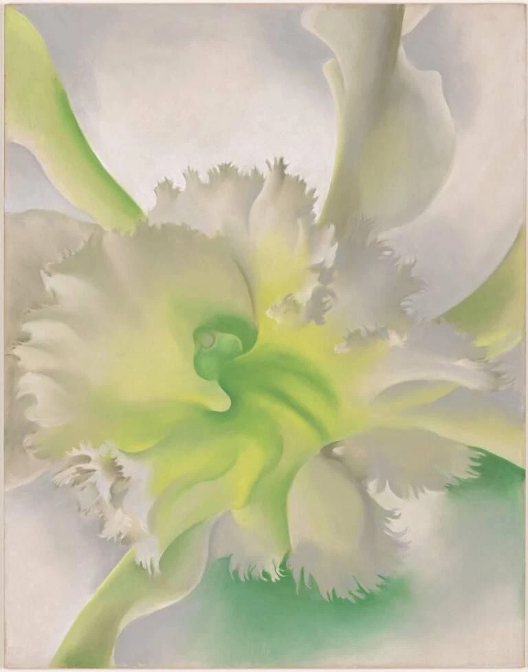 An Orchid by Georgia O’Keeffe 1941 Botanical Floral vintage art print