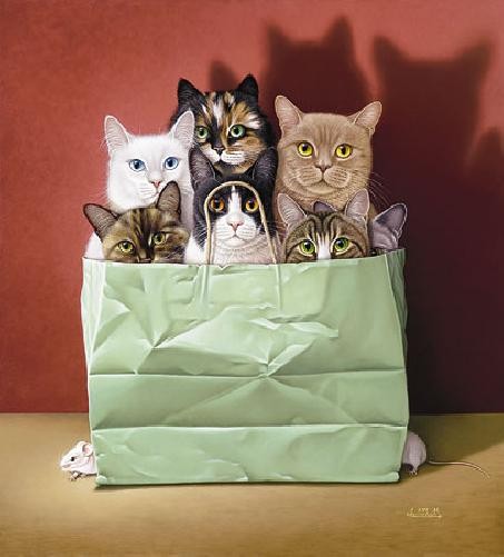 Braldt Bralds Mixed Bag – Cats
