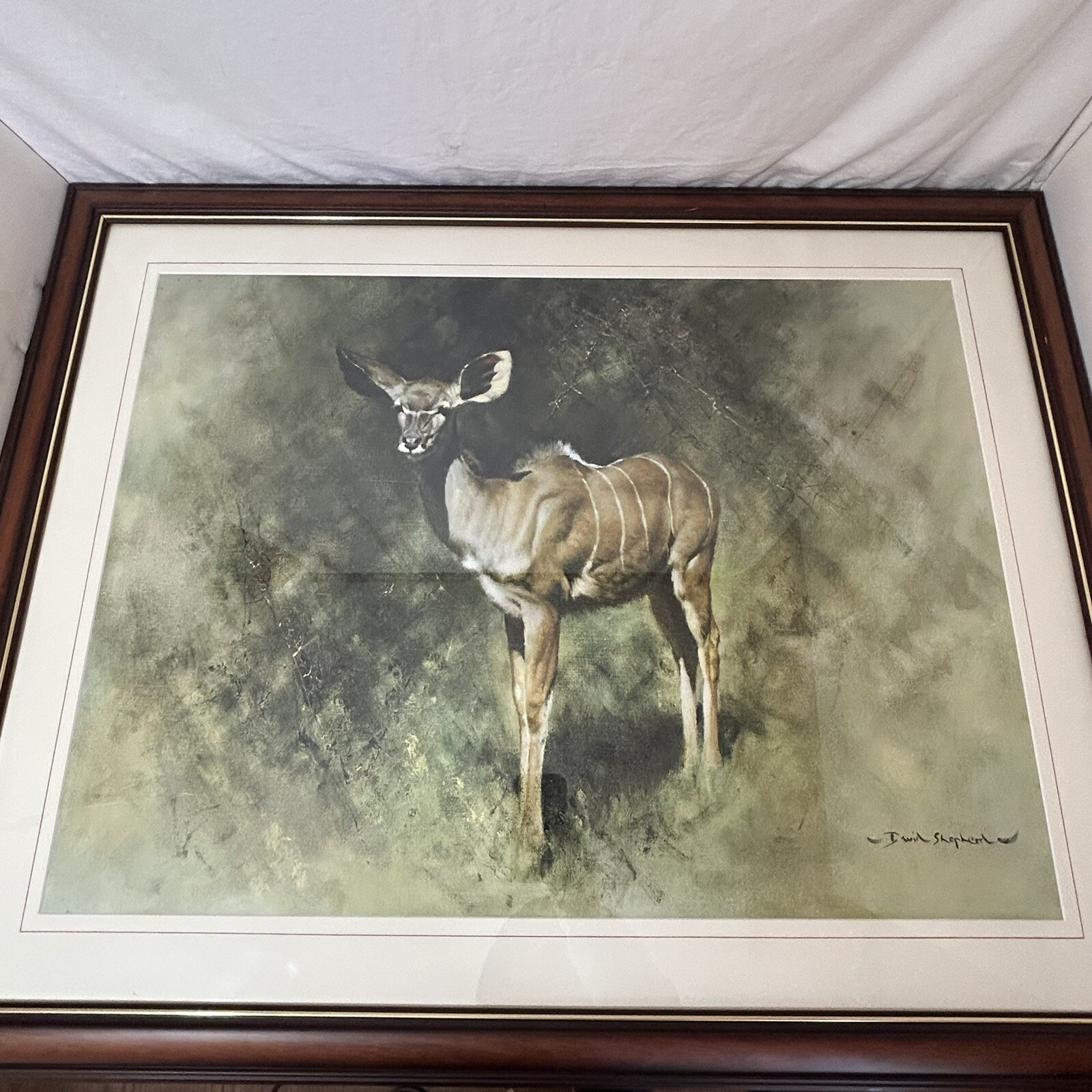 Vintage Print Of A Kudu Antelope By Wildlife Conservation Artist David Shepherd