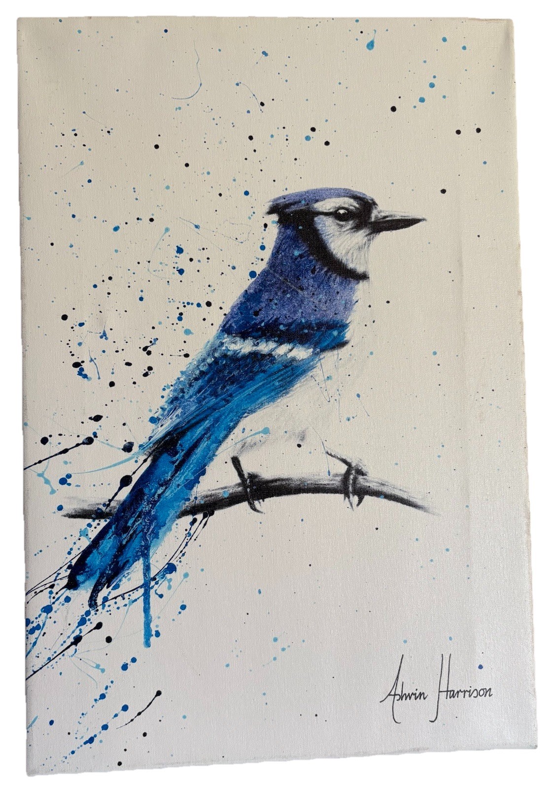 Signed Ashvin Harrison Australian Canvas Realism Art Print Blue Jay Sunday