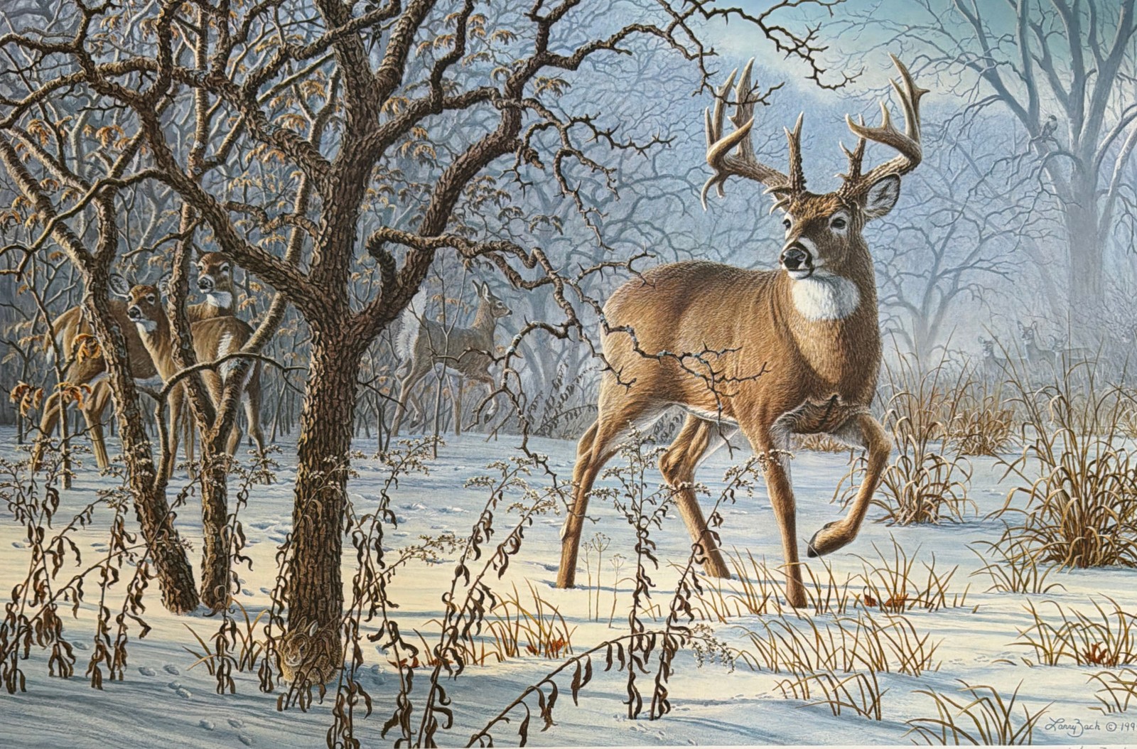 Larry Zack Winter Sunrise Whitetail Deer S/N Art Print 23 x 15.25