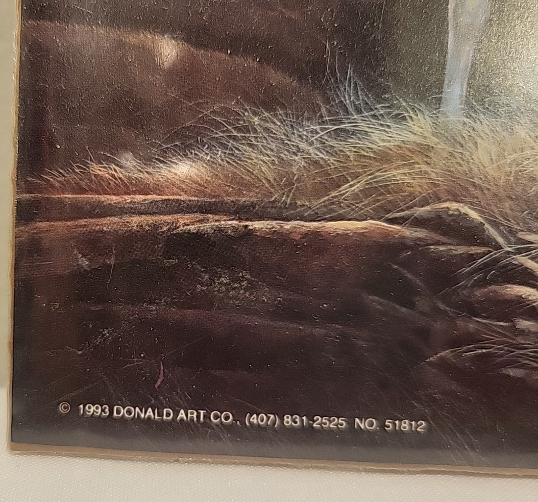 Vintage 1993 Donald Art Co Litho Print Horse on Plains Mountains Color NOS 8×10″
