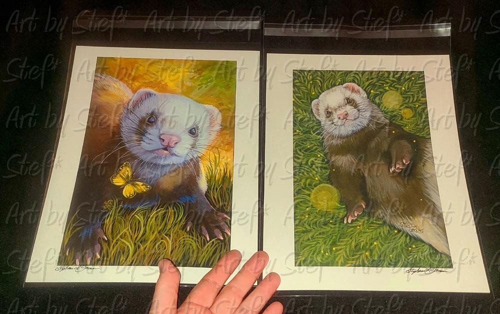 Set of 2 Signed FERRET PRINTS Polecats Butterfly FREE USA SHIPPING Art by Stef