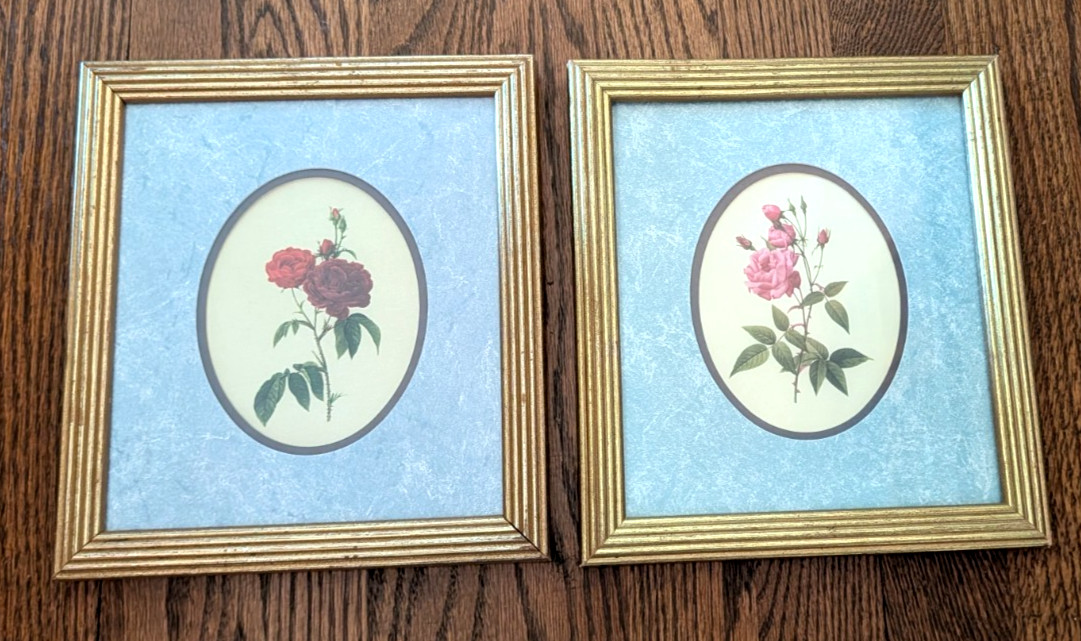 Vintage gold Frame Botanical Flowers Farm Boho Retro Set of 2 pair blue 9×8 D3