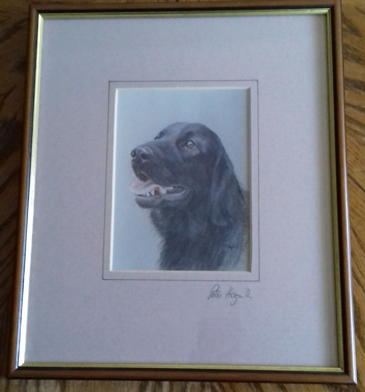 Peter Hogarth Signed Limited Edition Print : Flat Coated Retriever/Labrador