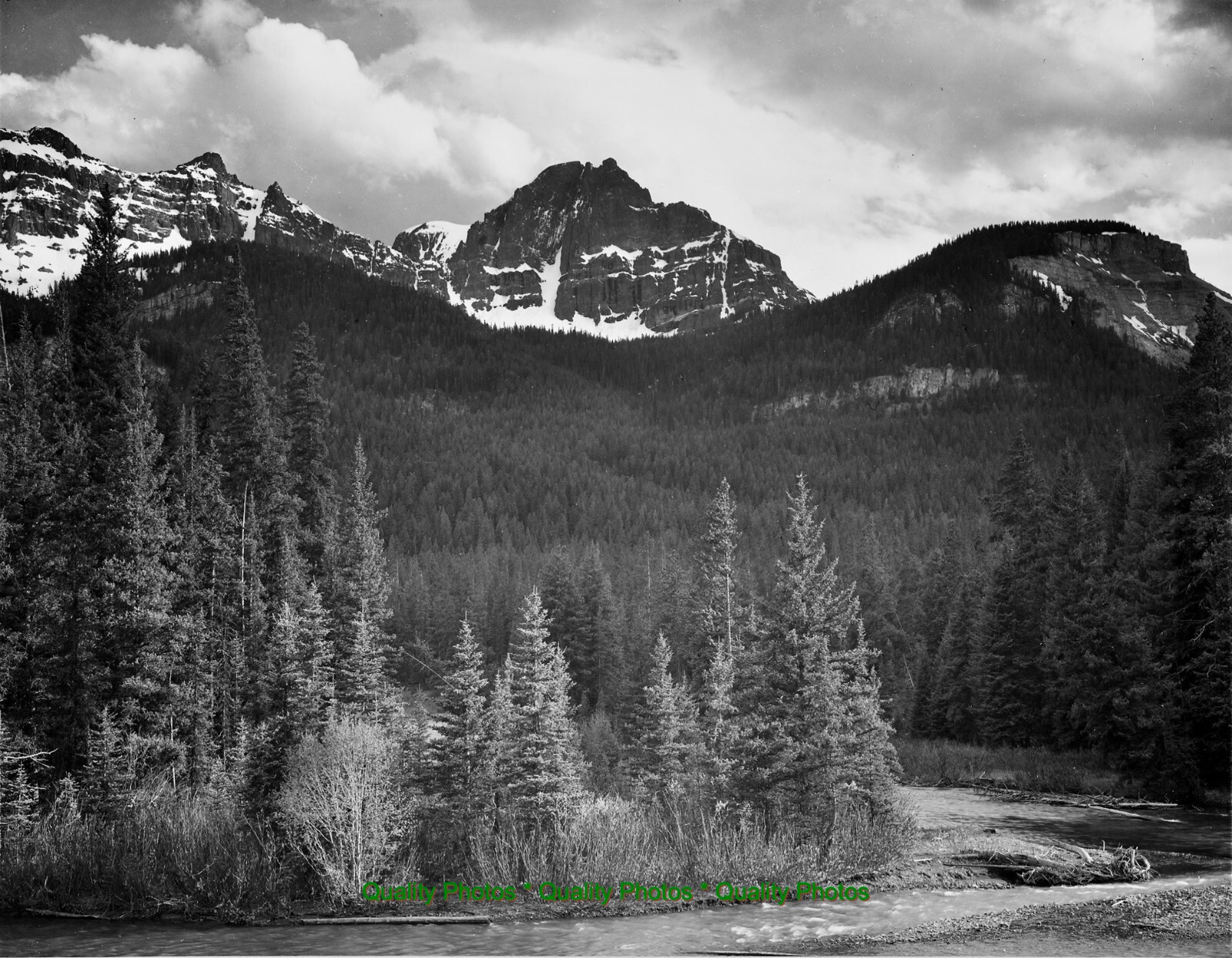 Stream Trees Mountans Yellowstone National Park 8.5×11″ Photo Print Ansel Adams