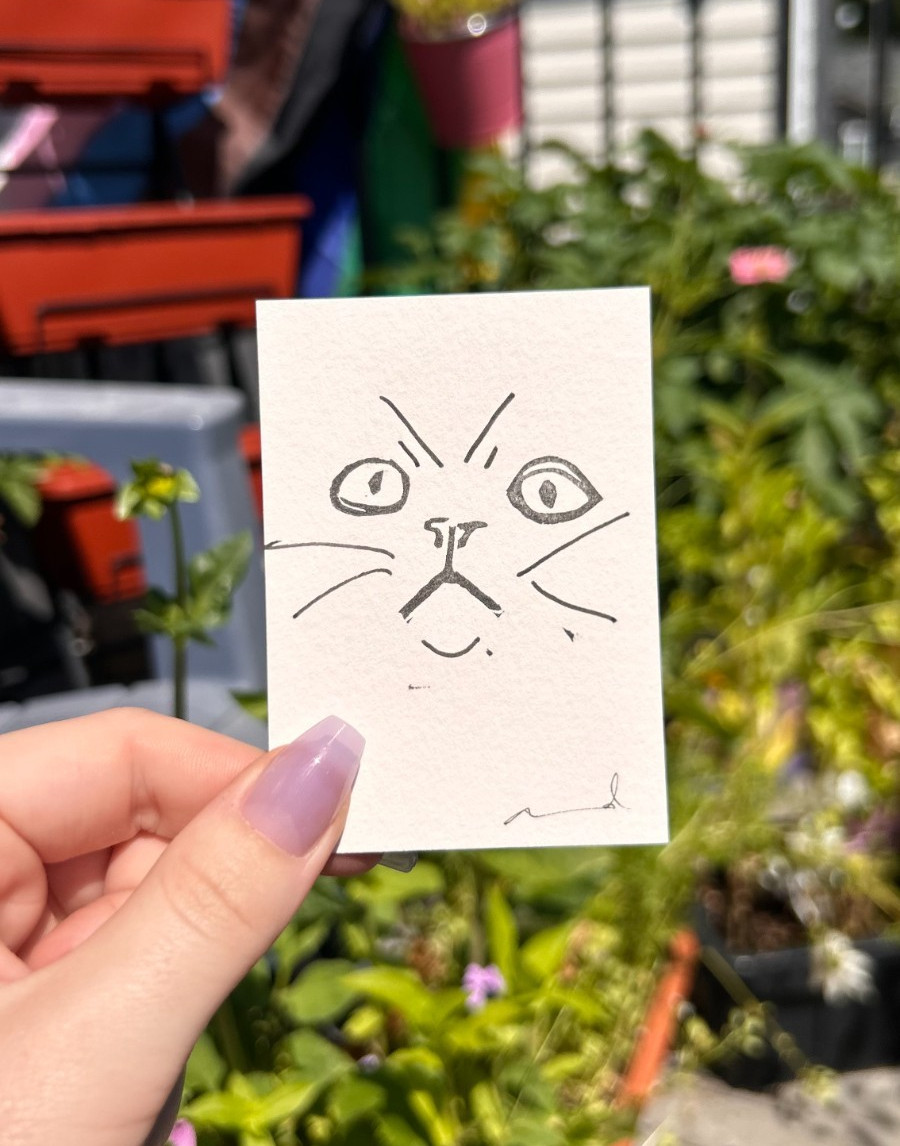 “Sentient Cats Trapped in Paper” June 2026 7/8