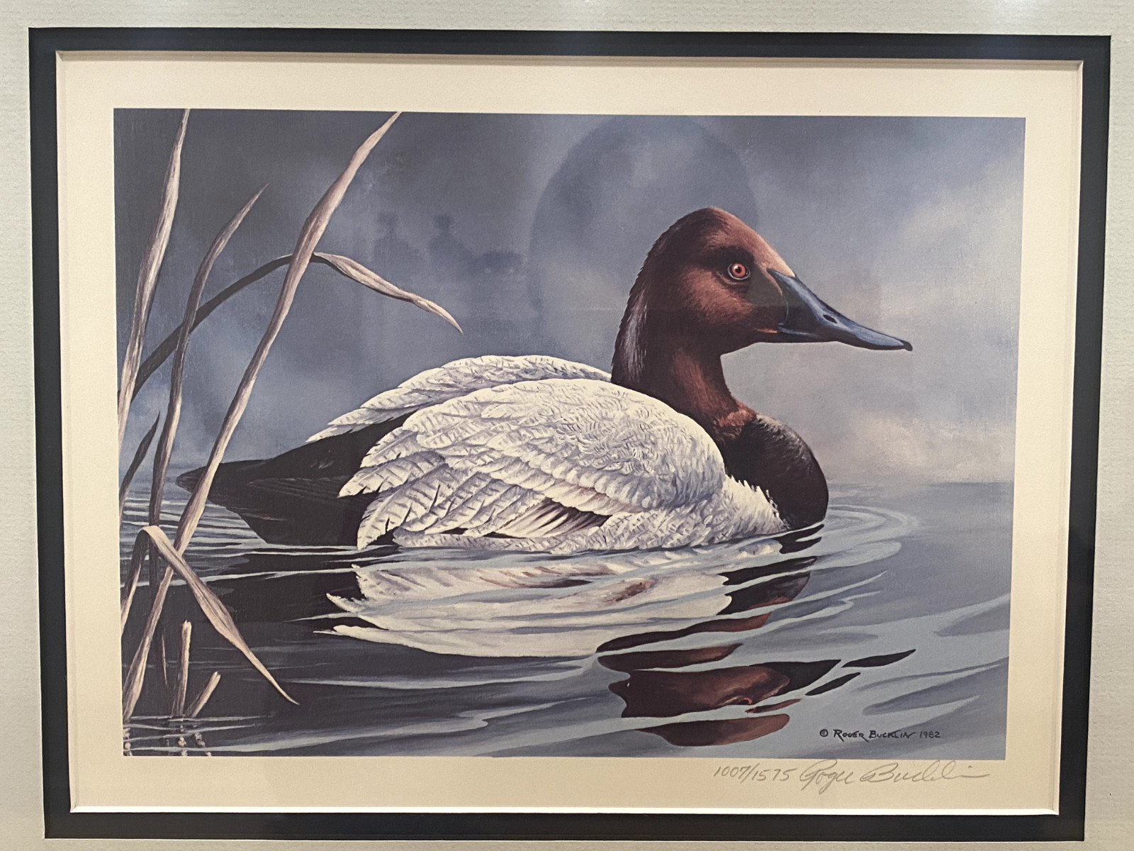 Roger Bucklin Duck Print 1983 Waterfowl Maryland Department of Natural Resources