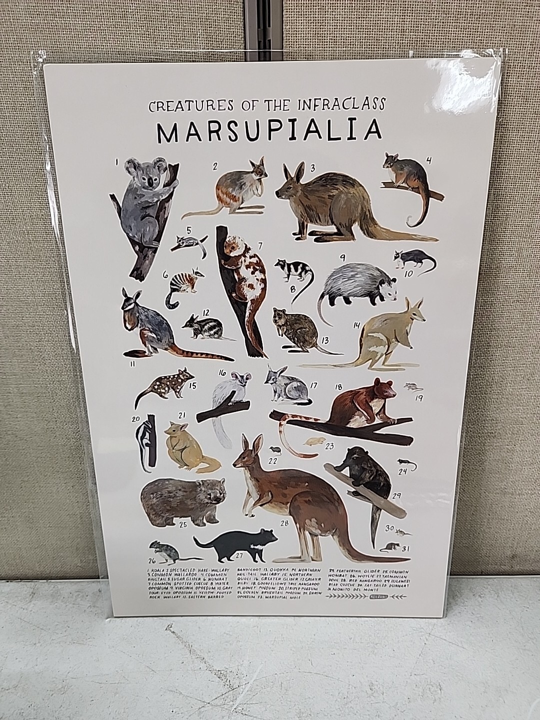 NEW Kelzuki Creatures of the order set of 19 art prints 12 x 18 inches