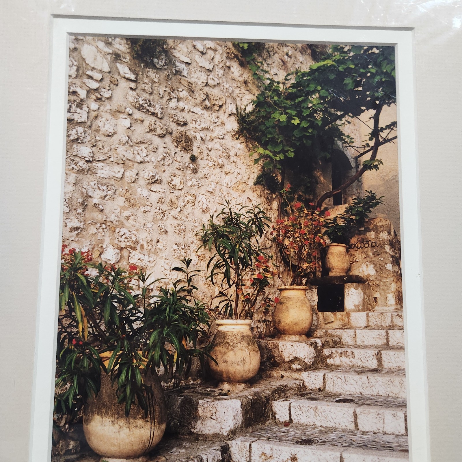 16″ x 12″ Matted Print “Provence” Numbered 10/250 Ferris Photography Bagged