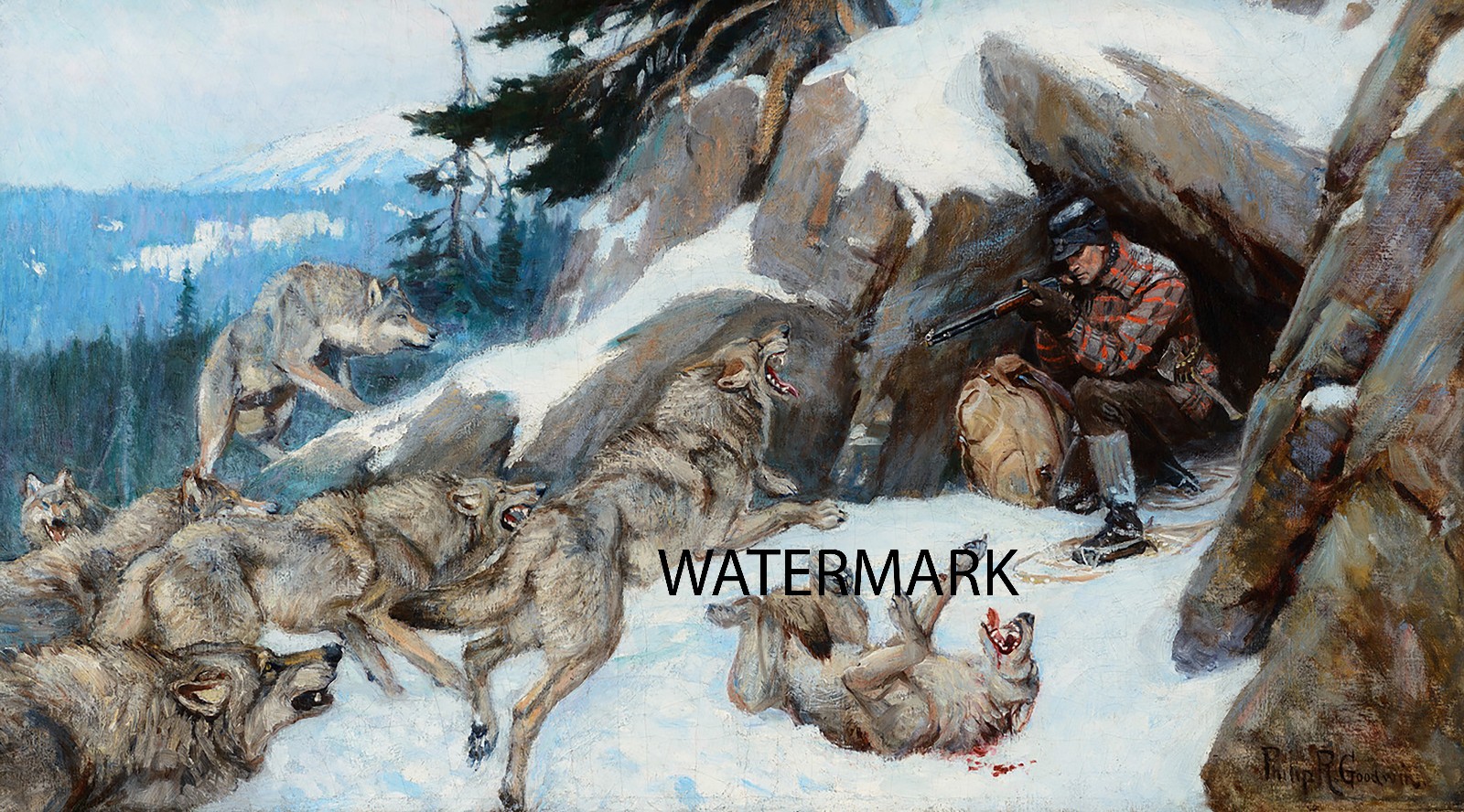 Wolf Wolves Attack Caught in the Den Phillip Goodwin 13×19 Print Reproduction