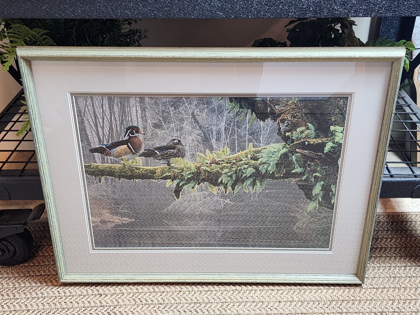 Rod Frederick Out On A Limb Wood Ducks Wilderness Limited Print 371/1250