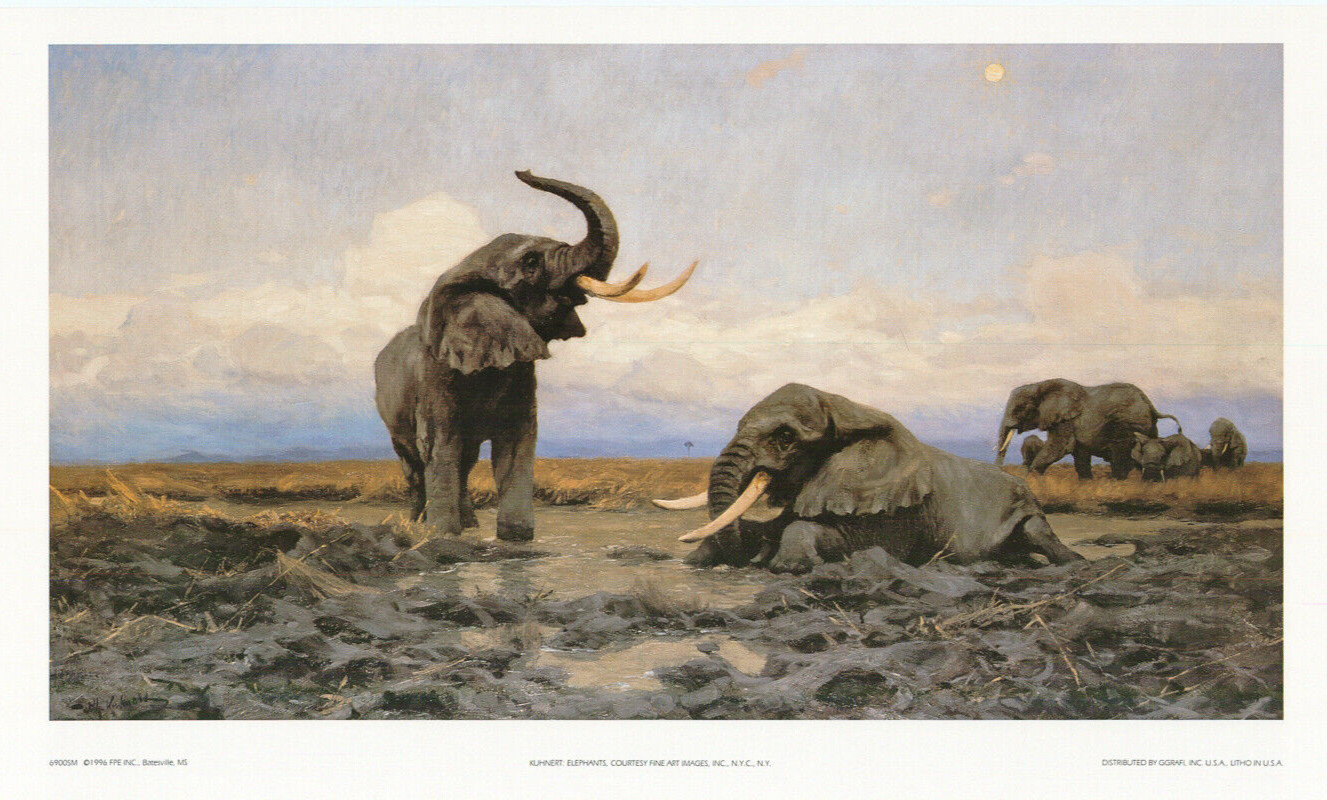 Elephants Crossing A River Wilhelm Kuhnert Set of 2 21.25×13 in
