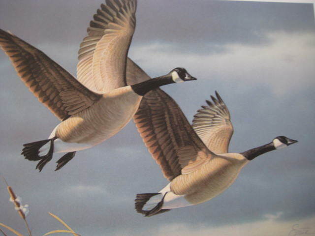 1987 West Virginia Duck Stamp And Print by Daniel Smith 715/10064