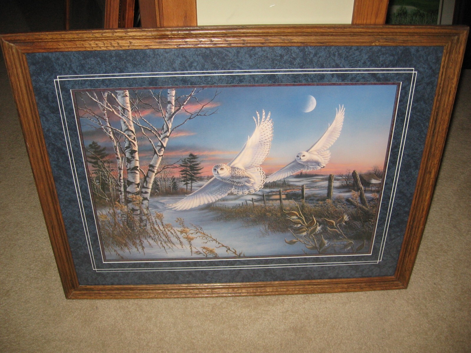 James Meger – Crecendo – Snowy Owls 31.5 x 24 Inches
