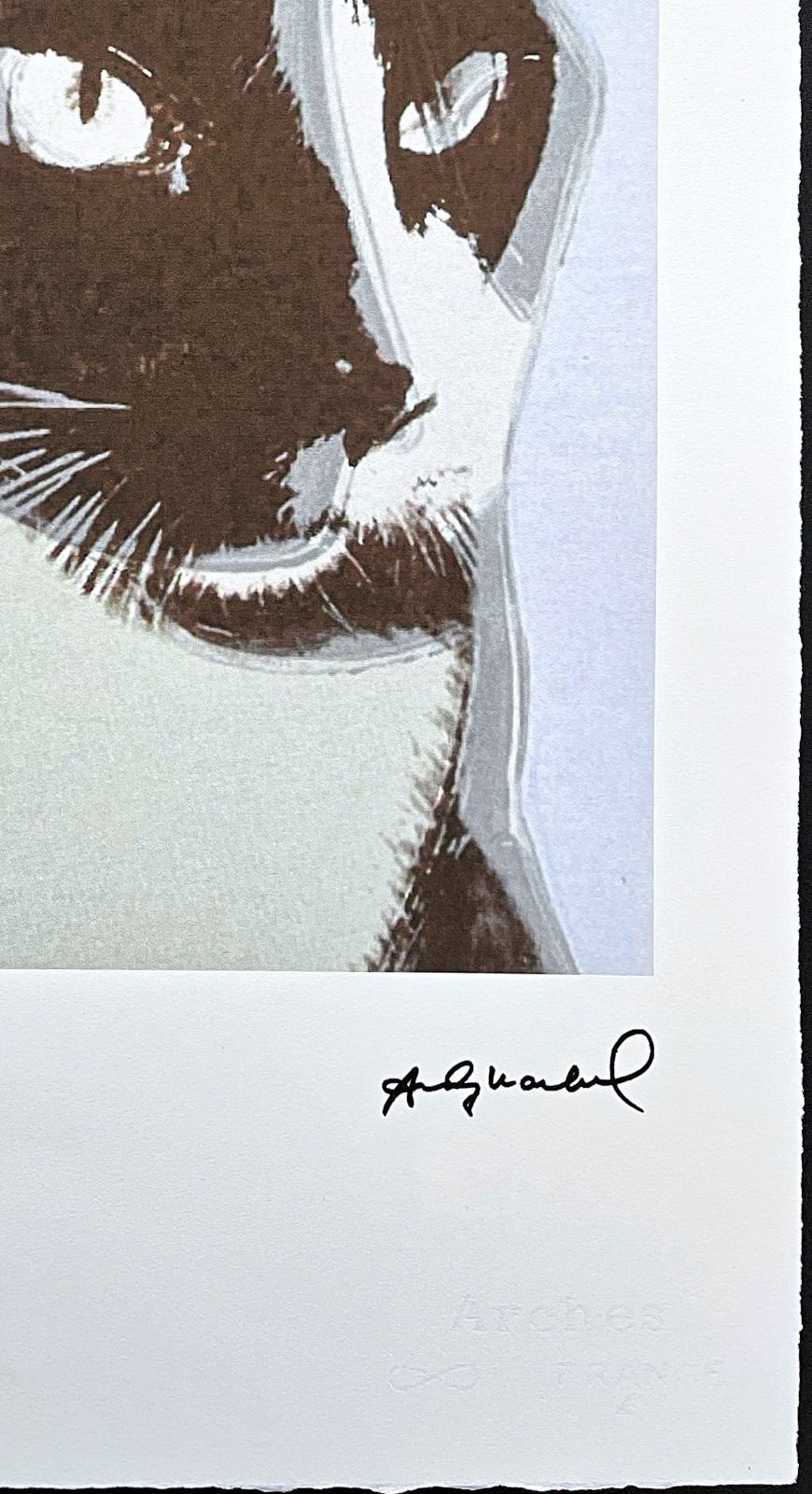 ANDY WARHOL – Cat Sam – signed, numbered edition 31/100, 38 x 56 cm