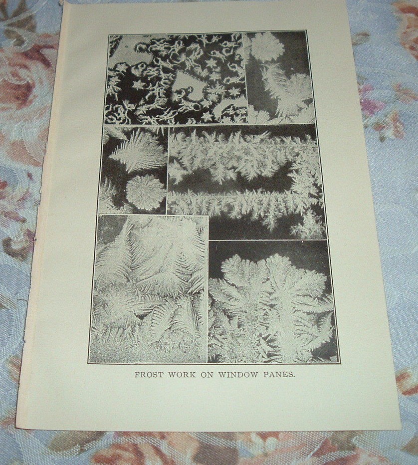 Vintage 1919 “FROST WORK ON WINDOW PANES” Lithograph Print