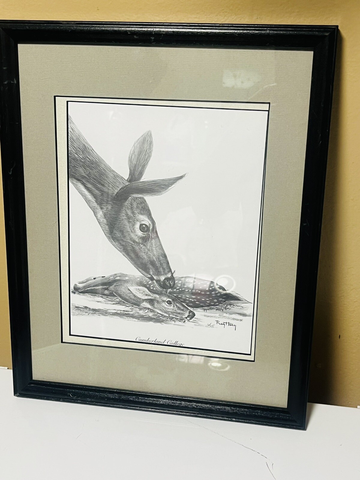 Ray Harm RARE Signed Print Spring Feeder Deer Fawn Doe Cumberland College Museum