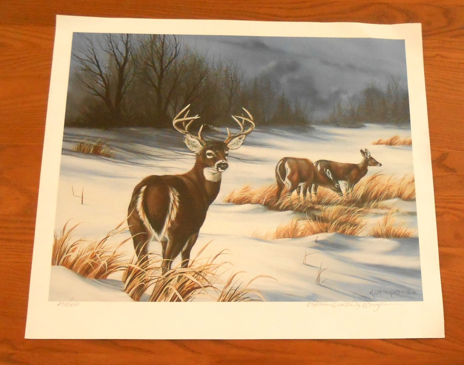Deer in the Winter 1991 Poster 21×19 Signed by Kathleen Whitehead Brogan (Buck)