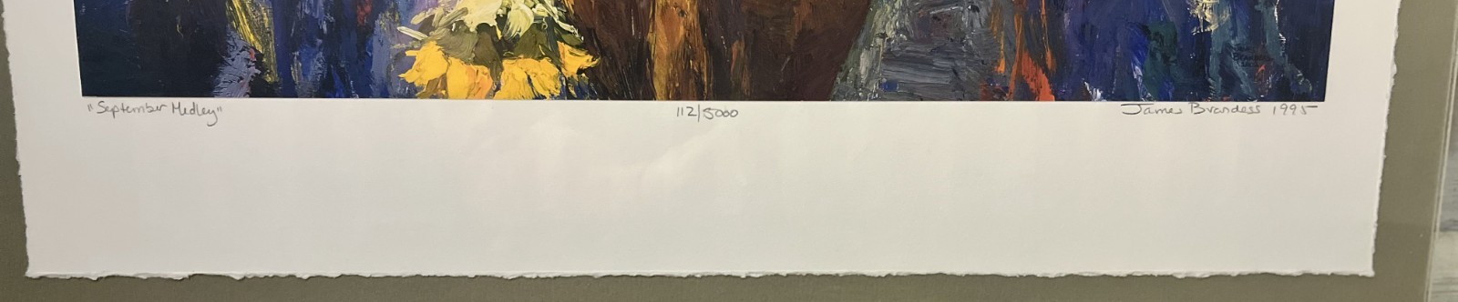 Summer Medley, James Brandess, Michigan Art, Signed & Numbered, Matted (1995)