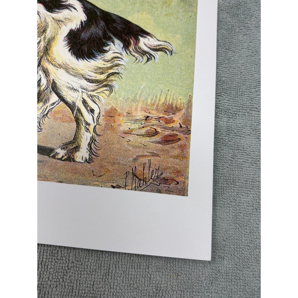 Old World Prints Mans Best Friend V Spaniel Dog Art Print 13×9.5 NO FRAME