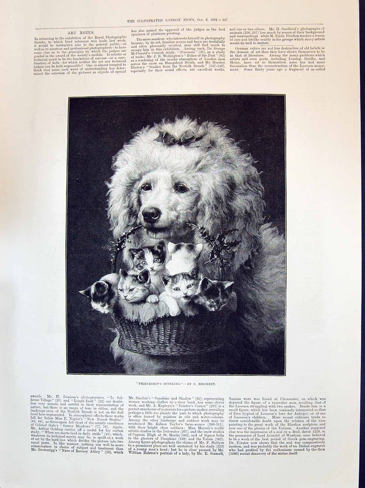 Antique Old Print 1894 Beautiful Puppy Dog Carrying Basket Kittens Reichert