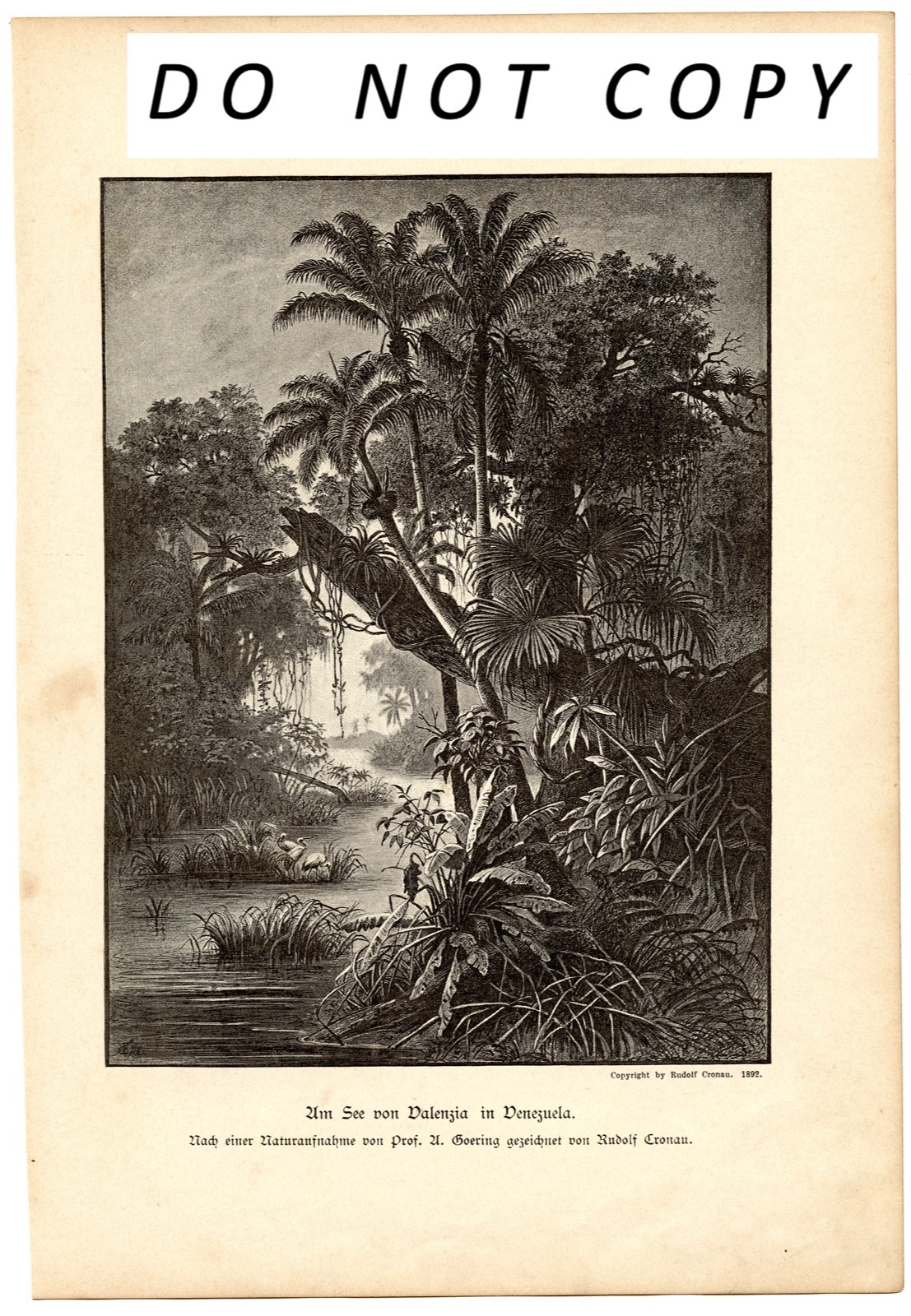Vintage 1892 Litho Print Lake Valencia, Venezuela by Artist Rudolf Cronau