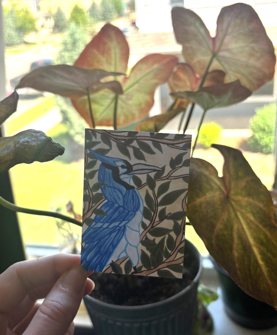 ACEO 2.5×3.5 in. PRINT Stained-glass/Art Nouveau Bluejay with leaves SIGNED