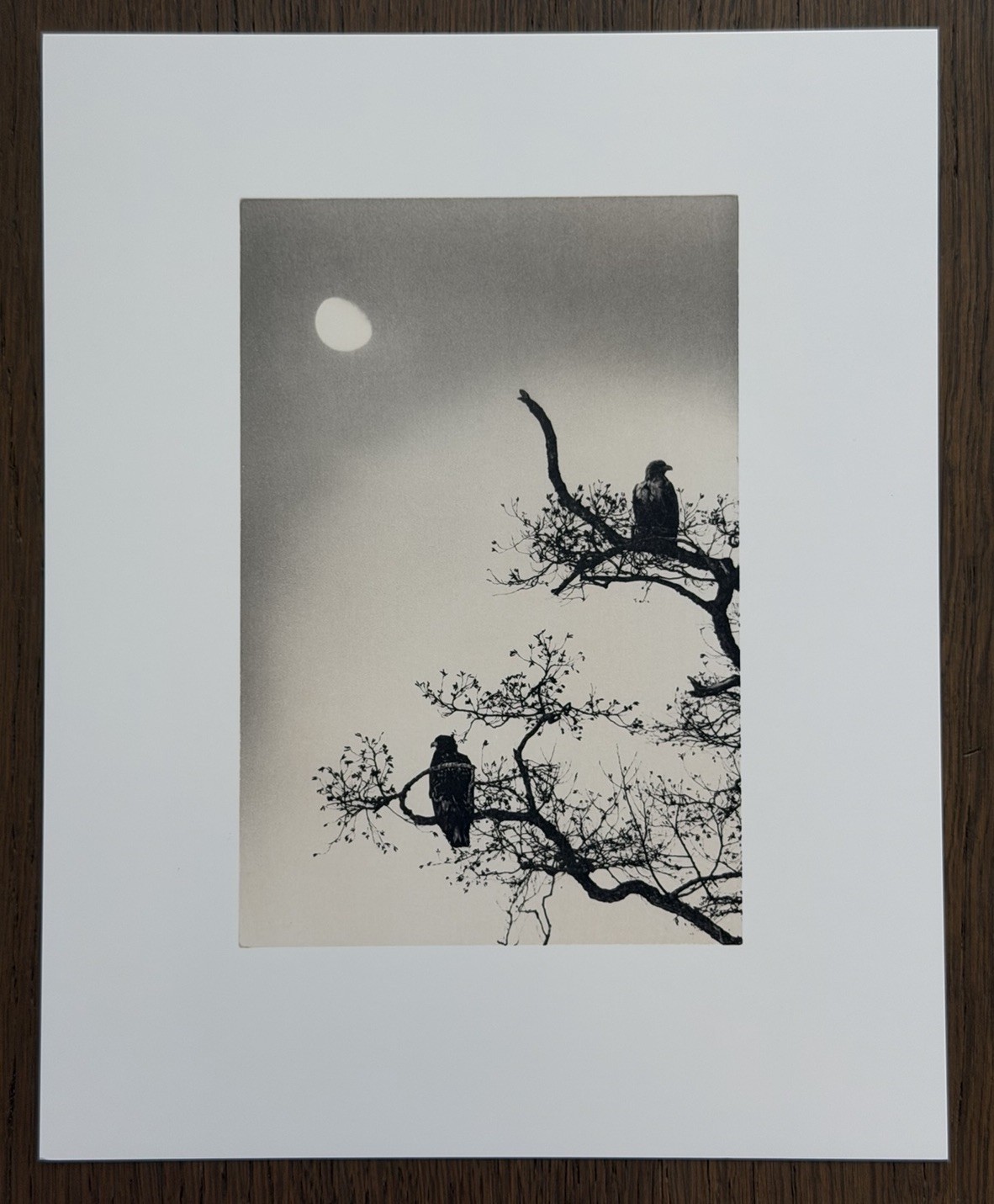 RARE! Yamamoto Masao – Great eagle, Original Collotype Print, Japan